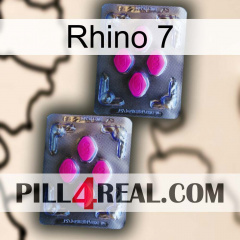 Rhino 7 01